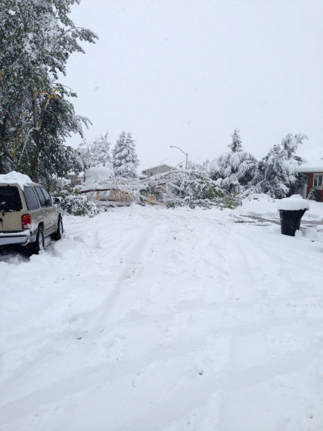 Winter Storm Atlas